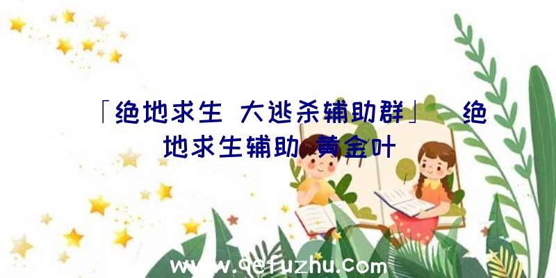 「绝地求生